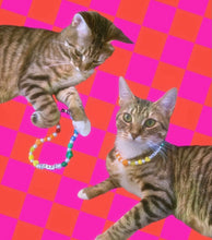 Load image into Gallery viewer, Fur BB Custom Pet Kandi Necklace
